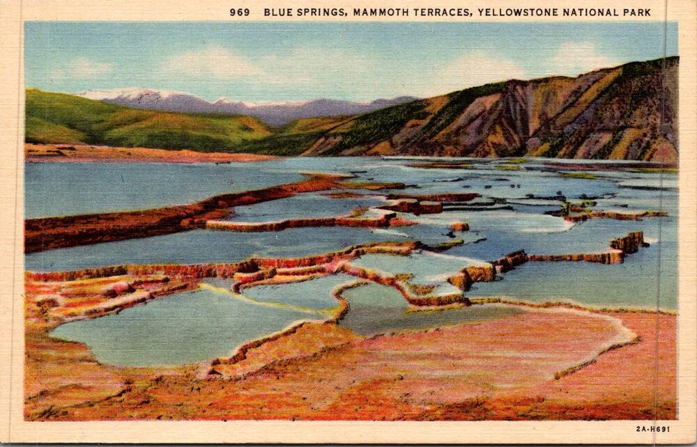 Blue Springs Mammoth Terraces Yellowstone National Park Vintage Postcard SP17-29